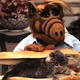 ALF